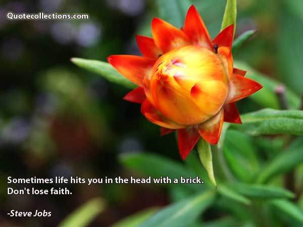 Steve Jobs Quotes4